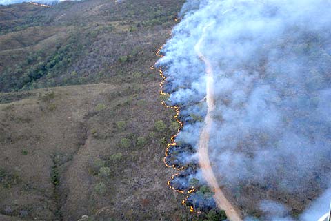 Incndio Parque Estadual da Serra de Caldas