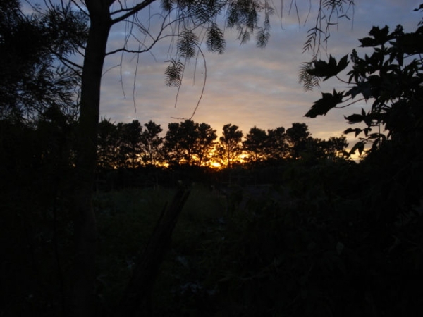 Pôr-do-Sol em Alto Paraná