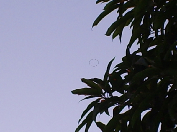 Vênus em plena luz do dia às 5 da tarde, em Ji-Paraná-Ro.