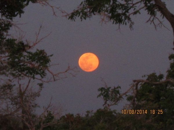 Super lua em araguaina tocantins