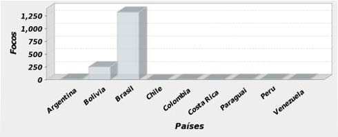 Queimadas na América do Sul em junho de 2010