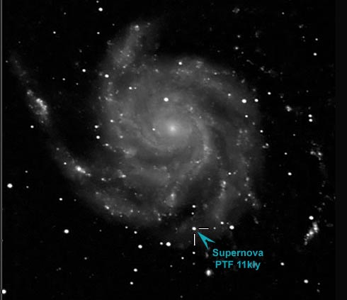 Supernova PTF 11kly