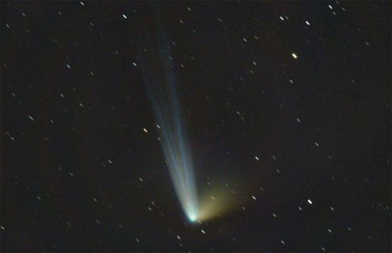 Cometa C/2014 Q1 Panstarrs