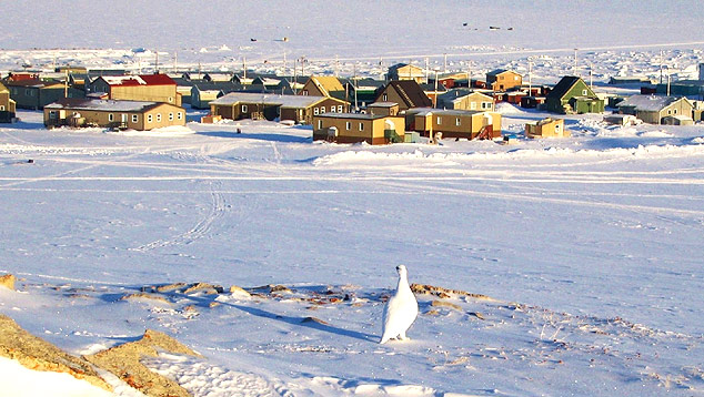 Povoado de igloolik, situado no artico canadense