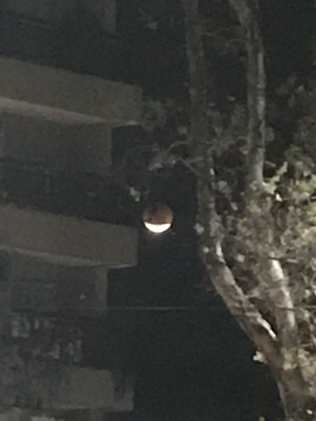 Eclipse Lunar visto de Campinas, SP.