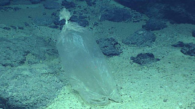 Lixo plastico encontrado no fundo do oceano