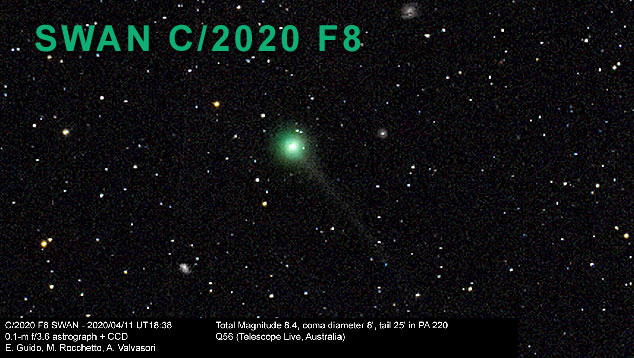 Registro feito pela equipe do astrônomo Ernest Guido mostra a coma verde do cometa C/2020 F8 SWAN. 