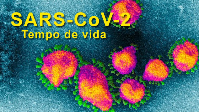 Coronavirus em imagem feita por microscópio eletrônico. O nome 'coronavirus' vem da aparência do halo externo, em forma de corôa. 
