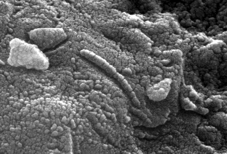 Estrutura encontrada no meteorito Allan Hills 84001, em 1996. Essaa feição se assemelha a bactérias fossilizadas semelhantes a vermes. Até hoje, o debate sobre sua origem continua, mas a maioria dos cientistas agora concorda que se trata de um tipo de falso fóssil. Crédito: Vanderbilt University. <BR>