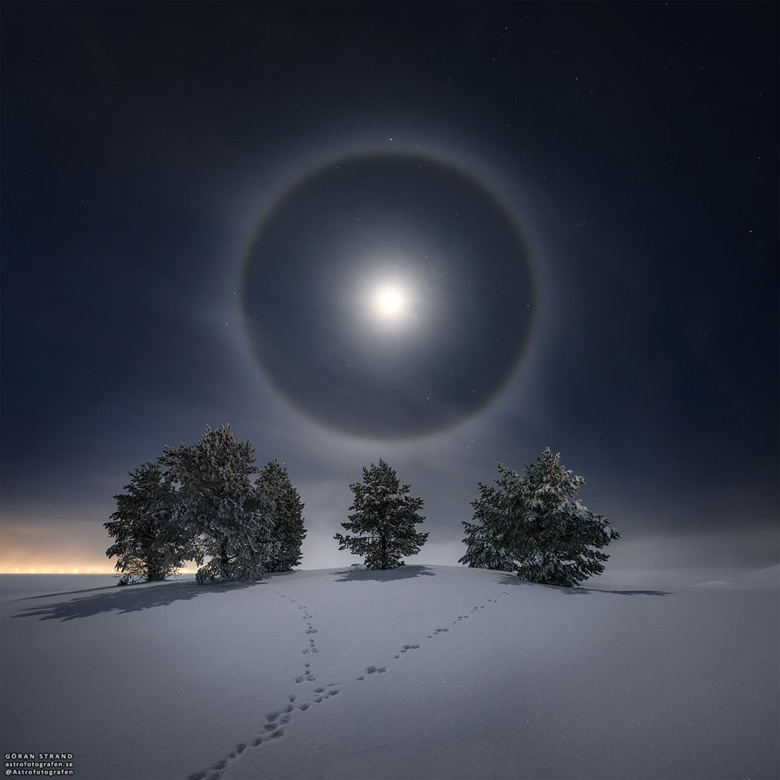 Nesta imagem, feita em janeiro de 2021, o fotógrafo Göran Strand registrou esse belo halo lunar nas cercanias de Östersund, na Suécia. Na cena é possível ver a paisagem repleta de gelo, marcada por árvores congeladas e pegadas de coelhos nativos. Crédito: NASA/APOD<BR>